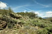 Photo 4 for 1646 N Miles Hollow Rd