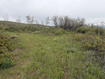 Photo 5 for 999  Hwy 39