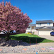 Photo 1 for 2251 N 850 W