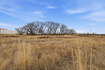 Photo 2 for 467 N 1200 W