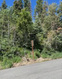 Photo 2 for 390  Aspen Dr