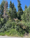 Photo 4 for 390  Aspen Dr