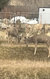 Photo 6 for 346 N 800 E