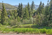 Photo 4 for 430  Upper Evergreen Dr