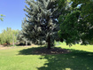Photo 6 for 379 E 400 N