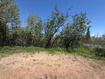 Photo 5 for 3438 S Lupine Cir