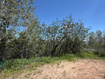 Photo 3 for 3438 S Lupine Cir