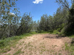 Photo 4 for 3438 S Lupine Cir