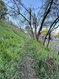 Photo 4 for 387 N Loafer Rd