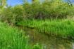 Photo 6 for 2050 E Lower River Rd Rd