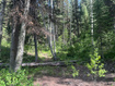 Photo 1 for 9328 E Wild Clematis Ln