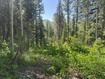 Photo 2 for 9328 E Wild Clematis Ln