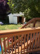 Photo 4 for 93 W 400 S