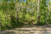 Photo 6 for 11106  Green Briar Rd