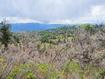 Photo 2 for 1920 W Elk Rd