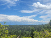 Photo 5 for 1920 W Elk Rd