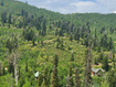 Photo 6 for 1920 W Elk Rd