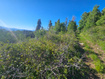 Photo 3 for 23165 N Hillside Dr