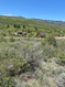 Photo 2 for 1200 N Broad Hollow