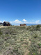 Photo 3 for 1200 N Broad Hollow