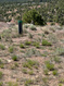 Photo 6 for 42117 W 6850 S
