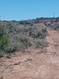 Photo 3 for 18634 W 1000 S