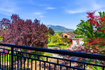 Photo 4 for 11266 S Palisade View Dr