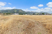 Photo 4 for 557 N Olivia Cir