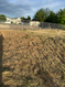 Photo 5 for 1557 W Antelope Dr