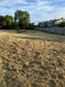 Photo 4 for 1557 W Antelope Dr