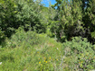 Photo 2 for 1320 N Sculpin Loop