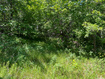 Photo 6 for 1320 N Sculpin Loop