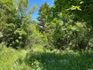 Photo 3 for 1320 N Sculpin Loop