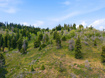 Photo 1 for 140 W Elk Rd