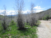 Photo 1 for 3258 N Water Canyon Ave