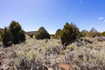 Photo 5 for 240  Acres