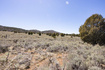 Photo 6 for 240  Acres