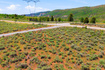 Photo 5 for 22902 E Deer Valley Dr