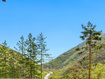 Photo 1 for 875 S Donner Way #209
