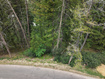 Photo 2 for 446  Upper Evergreen Dr