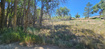 Photo 2 for 4100 N 1700 E