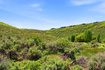 Photo 4 for 4090 N 250 E