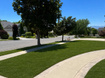Photo 4 for 2825 E Craig Dr