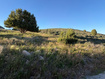 Photo 1 for 1107 W Cedar Ridge Dr