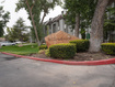 Photo 1 for 415 E Creekside Cir #c