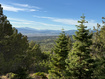 Photo 1 for 16  Pine Crest Dr