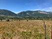 Photo 4 for 4008 N Ridge Rd