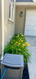 Photo 5 for 4447 W Silent Rain Dr