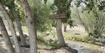Photo 2 for 10975 E 17050 N