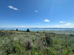 Photo 4 for 2610 S Panorama Cir